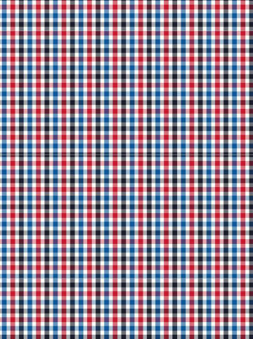 FYNCH-HATTON Hemd - Casual fit - in Rot/ Blau