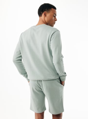 Mexx Sweatshirt "Eiger" in Grün