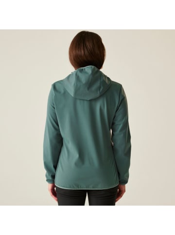 Dare 2b Softshelljacke "Iced" in Grün