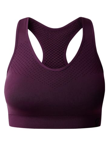 Dare 2b Sport-BH "Dont Sweat It II" in Lila - Medium