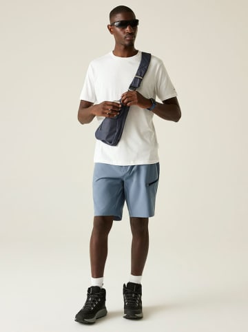 Dare 2b Trekkingshorts "Tuned In Pro II" grijsblauw