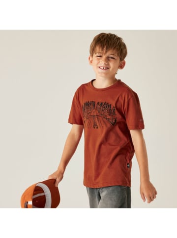 Dare 2b Shirt "Trailblazer IIi" in Rostrot