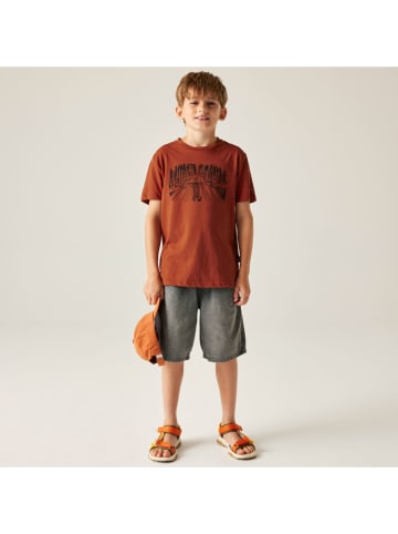 Dare 2b Shirt "Trailblazer IIi" roestrood
