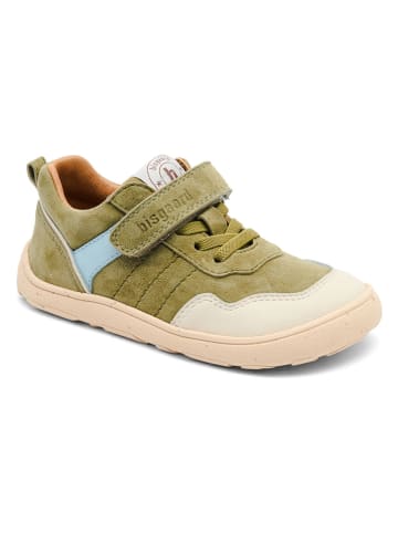 bisgaard Leder-Barfußschuhe "Baloo" in Grün