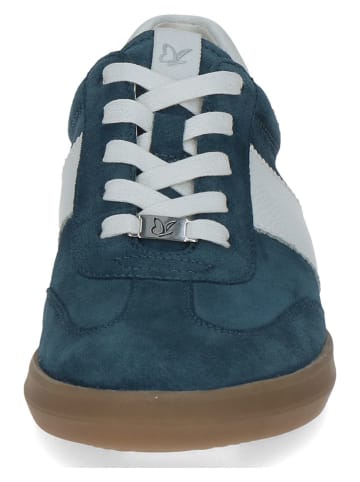 Caprice Leder-Sneakers in Dunkelblau