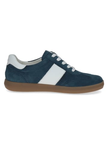 Caprice Leder-Sneakers in Dunkelblau