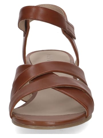 Caprice Leder-Sandaletten in Hellbraun
