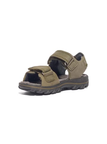 Primigi Leder-Sandalen in Khaki