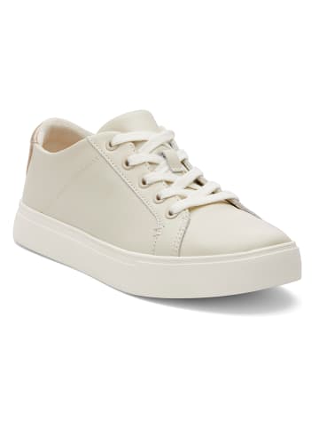 TOMS Leder-Sneakers in Creme/ Gold