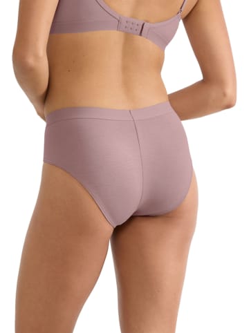 Sloggi Panty "Ever Ease" in Mauve