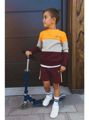 Tygo & Vito Sweatshirt "Scott" oranje/grijs/bordeaux
