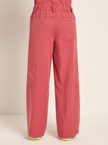 Lanius Hose in Koralle