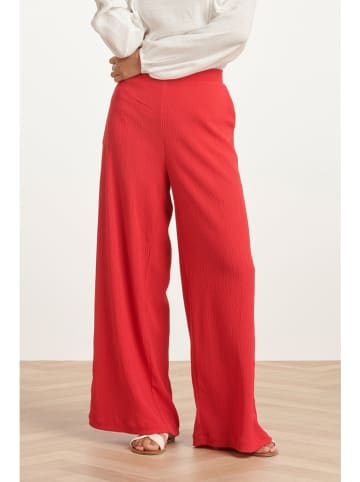 Smashed Lemon Broek rood