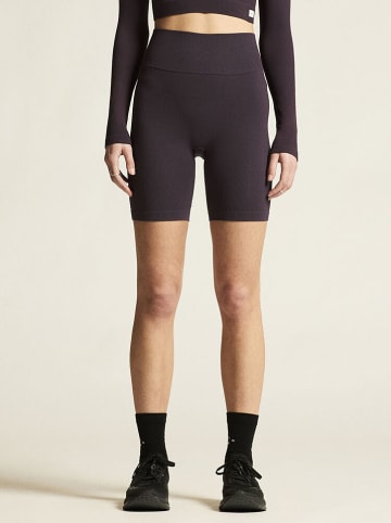 Craft Trainingsshorts "Collective Rib" in Pflaume