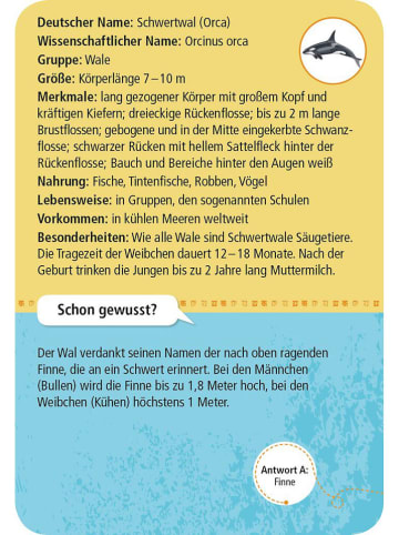 moses. Kartenspiel ''50 Meerestiere'' - ab 6 Jahren