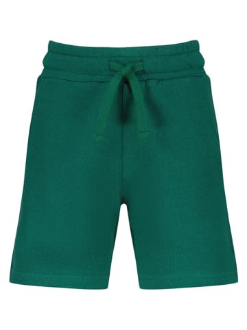 RAIZZED® Sweatshorts "Reasy" in Grün