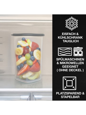 Moritz & Moritz 12er-Set: Vorratsdosen in Grau 