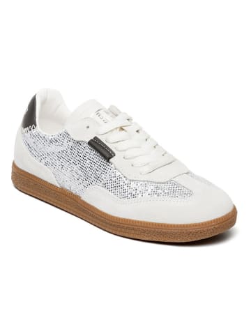 Steve Madden Sneakers "Emporia" in Beige/ Silber