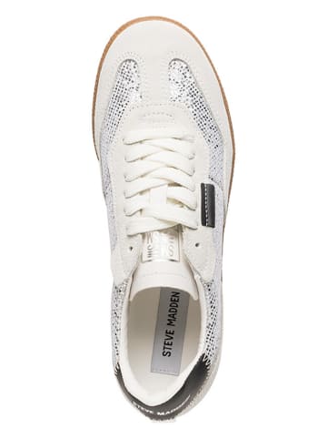 Steve Madden Sneakers "Emporia" in Beige/ Silber