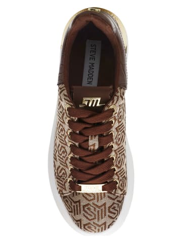 Steve Madden Sneakers in Braun