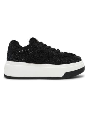 Steve Madden Sneakers in Schwarz