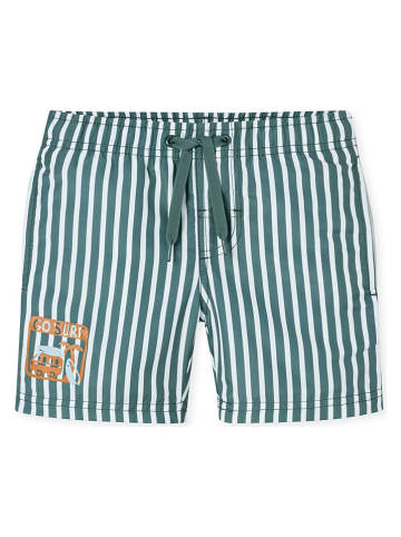 Schiesser Badeshorts in Grün/ Weiß