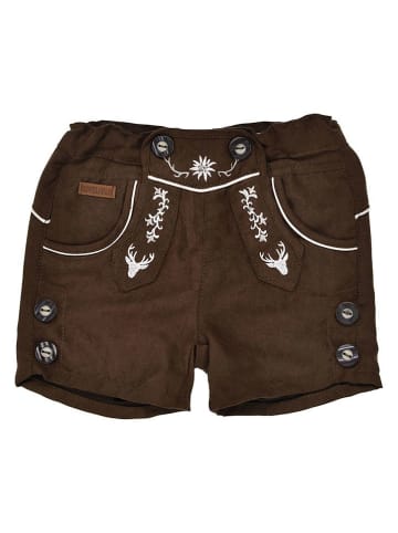 Bondi Szorty "Trachtenshort" w kolorze brązowym