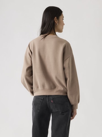Levis Sweatshirt in Beige