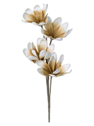 Bizzotto Sztuczna gałązka ''Magnolia'' w kolorze beżowym - dł. 92 cm