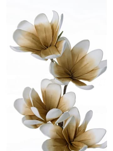 Bizzotto Kunstzweig ''Magnolia'' in Beige - (L)92 cm