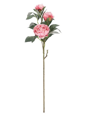 Bizzotto Kunstzweig ''Peony Evalyn'' in Grün/ Rosa - (L)90 cm