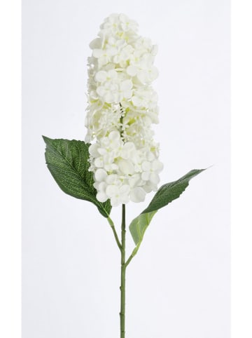 Bizzotto Kunsttak ''Hydrangea Holga'' groen/wit - (L)64 cm