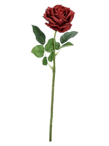 Bizzotto Kunstzweig ''Rose Ofelia'' in Grün/ Rot - (L)43 cm