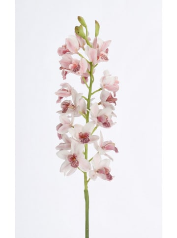 Bizzotto Kunstzweig ''Orchid Lylia'' in Grün/ Rosa - (L)77 cm