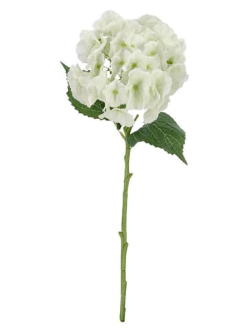 Bizzotto Sztuczna gałązka ''Hydrangea Sofy'' w kolorze zielono-białym - dł. 52 cm