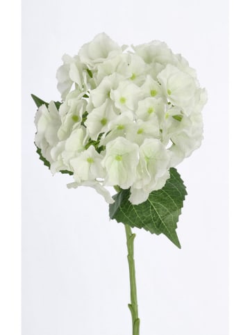 Bizzotto Kunsttak ''Hydrangea Sofy'' groen/wit - (L)52 cm