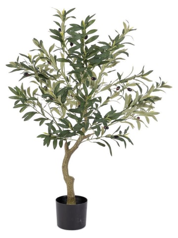 Bizzotto Kunstpflanze ''Olive Plant'' in Grün - (L)90 cm