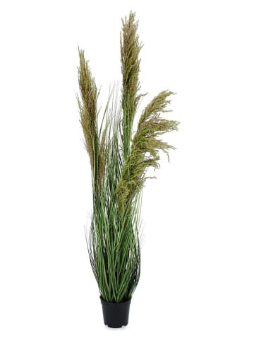 Bizzotto Sztuczna roślina ''Carine'' w kolorze zielonym - dł. 96,5 cm
