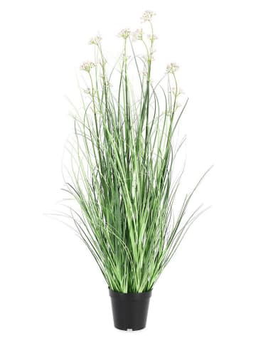 Bizzotto Kunstpflanze ''Allium'' in Grün - (L)90 cm