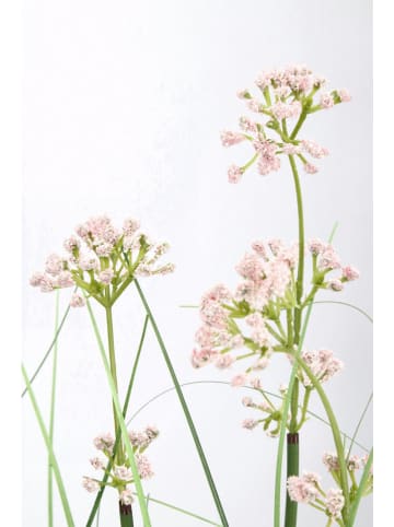 Bizzotto Kunstpflanze ''Allium'' in Grün - (L)90 cm