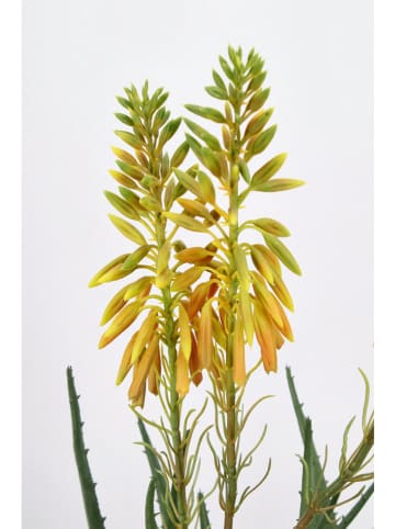 Bizzotto Kunstplant ''Aloe'' groen/geel - (L)51 cm