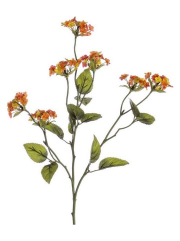 Bizzotto Kunsttak ''Lantana'' oranje - (L)66 cm