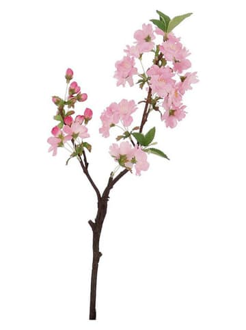 Bizzotto Kunstzweig ''Pear Cyndi'' in Rosa/ Grün - (L)48 x (B)18 cm