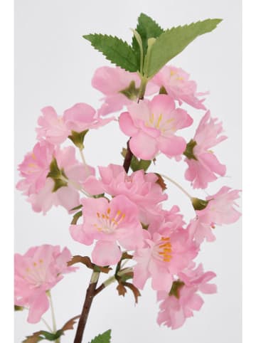 Bizzotto Kunstzweig ''Pear Cyndi'' in Rosa/ Grün - (L)48 x (B)18 cm