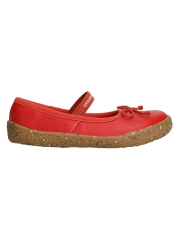 Groundies Leren barefootschoenen "Sofia" rood