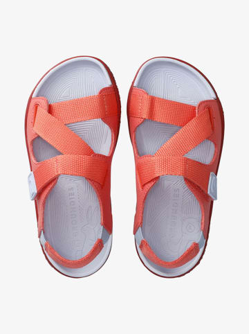 Groundies Barefootschoenen "Twig" roze/lichtblauw
