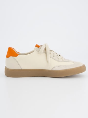 Paul Green Leder-Sneakers in Creme/ Orange