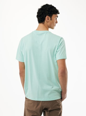 Mexx Shirt in Türkis