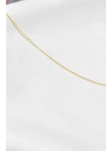 Heliophilia Vergulde ketting - (L)43 cm