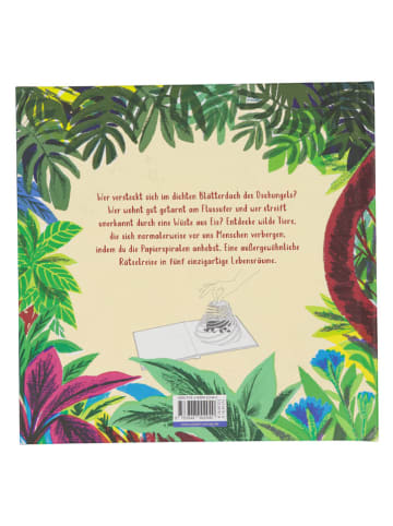 ALADIN Pop-Up-Buch "Im Verborgenen"